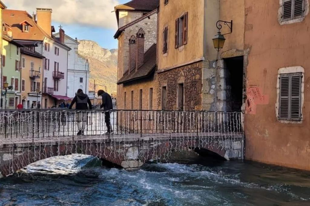 Magnifique A Deux Pas Du Et Pres Du Centre Apartment Annecy