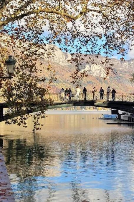 Magnifique A Deux Pas Du Et Pres Du Centre Annecy