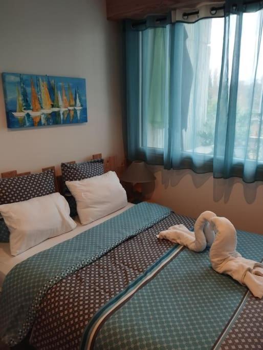 Magnifique A Deux Pas Du Et Pres Du Centre Apartment *