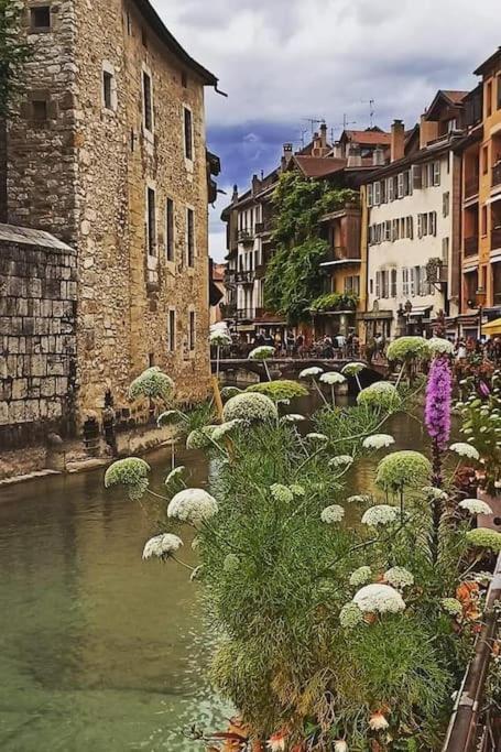Apartment Magnifique A Deux Pas Du Et Pres Du Centre Annecy